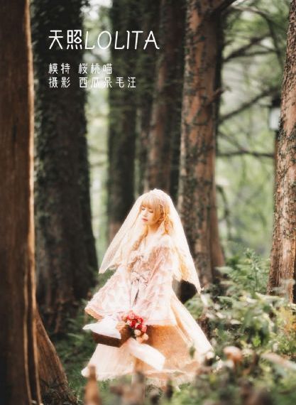 欧美血腥恐怖电影大全_DVD超清免费观看